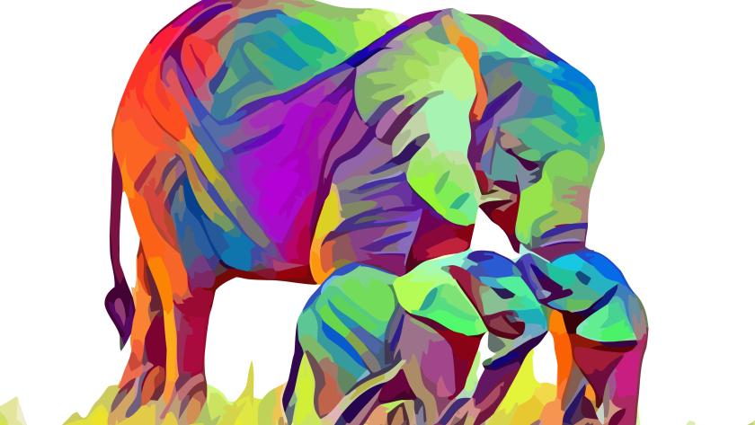elephant-love-72dpi-low-res