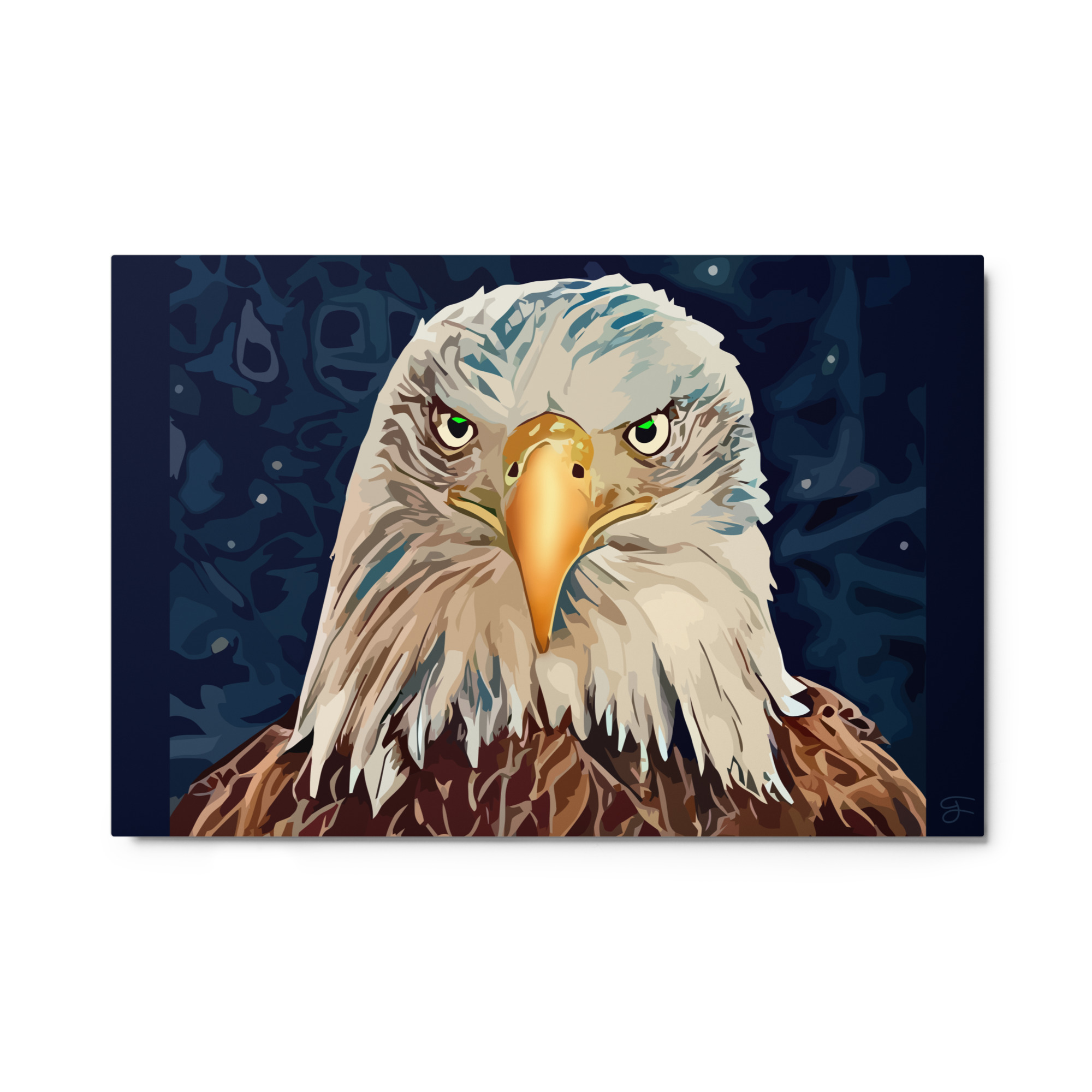 "Eagle Wisdom" (metal print)