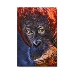"Old Man of the Forest" LIMITED EDITION (metal print)